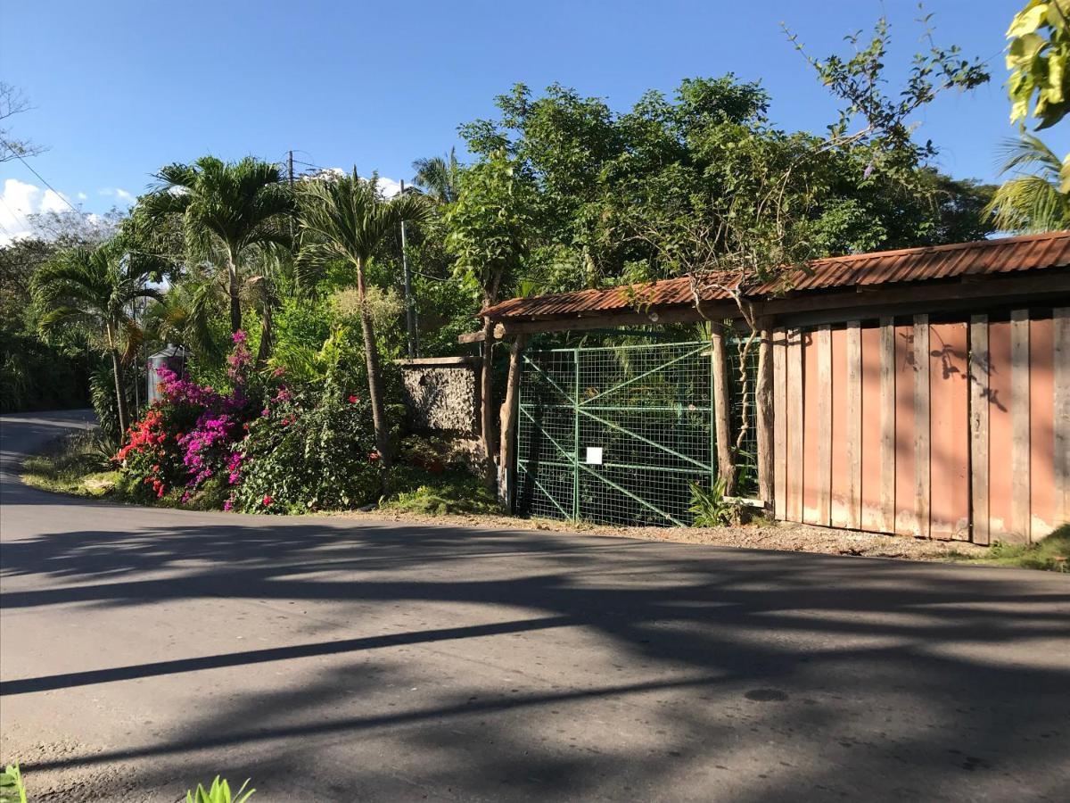 Flor De Paraiso Bungalows Montezuma Ngoại thất bức ảnh