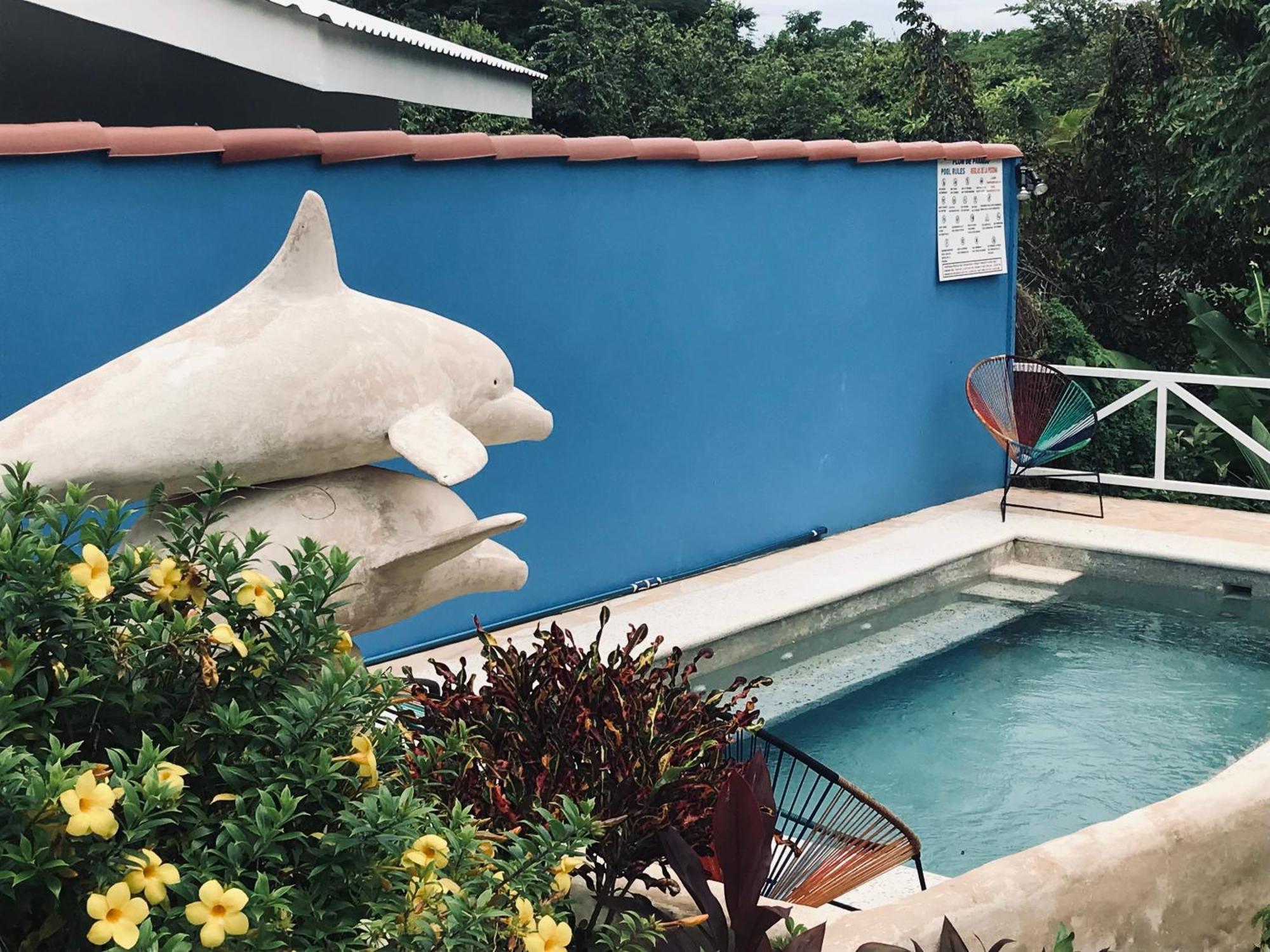 Flor De Paraiso Bungalows Montezuma Ngoại thất bức ảnh